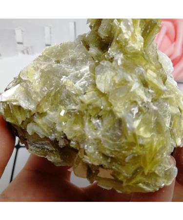 Natural Crystal Rough 1pc Natural Stone Green Crystal Cluster Specimen Ornaments Raw for Home Fish Tank Garden Flower Pots Decoration Household (Color : Crystal Cluster 1pc Size : 300g) 300g Crystal Cluster 1pc - Buy Online on GoSupps.com