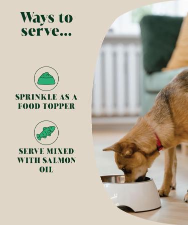 Hackney Dog House Natural Flea Treatment for Dogs Alternative | Billy No Mates Substitute | Effective Powdered Herbal Repellent | Food Supplement | 200 grams | 80 Daily Servings - Buy Online on GoSupps.com