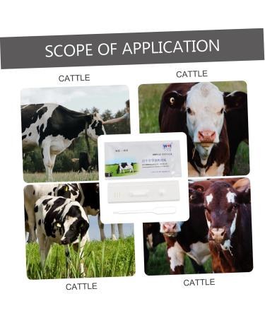 Magiclulu 3-Piece Cattle Pregnancy Test Strips - High Precision Detection Tool for Pregnancy Recognition - Fast & Accurate Testing for Cows - Buy Online on GoSupps.com