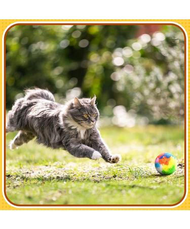 20 Pcs Assorted Color Cat Pom Pom Balls - Small Plush Kitty Toys for Cat and Kitten - 1.6 Inch Diameter - Buy Online on GoSupps.com