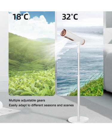 Floor Standing Hair Dryer Hairdryer Height Angle Adjustable Professional Vertical Hair Dryer Double Air Outlet 2 Speeds Hair Dryer for TV Watching and Multitasking - Buy Online on GoSupps.com