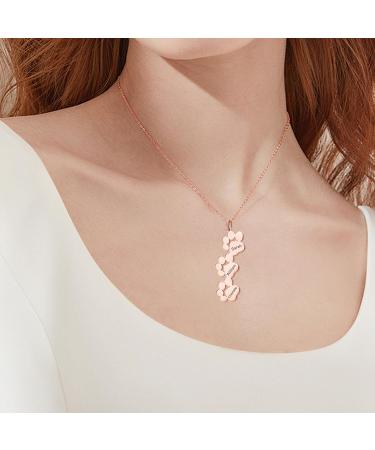 Exlarify Personalized Paw Print Memorial Necklace | Custom Dog Lover Jewelry | Pet Memorial Gift | Mother's Day Ros Gold Necklace - Buy Online on GoSupps.com