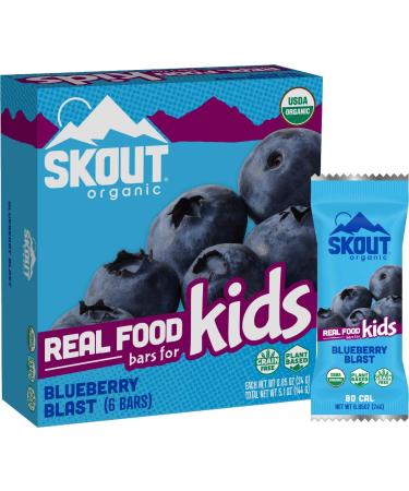 Skout Organic Blueberry Blast Real Food Bars for Kids (6 Pack) | Organic Snacks for Kids | Plant-Based Nutrition, No Refined Sugar | Vegan & Paleo | Gluten, Dairy, Grain, Peanut, Tree Nut & Soy Free