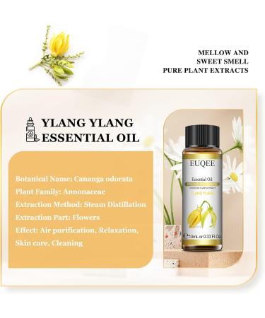 EUQEE Ylang Ylang Oil 10ml - Pure Natural Aromatherapy Essential Oil for Home Relaxation | Diffuser & Humidifier Use - 10.00 ml (Pack of 1) - Buy Online on GoSupps.com