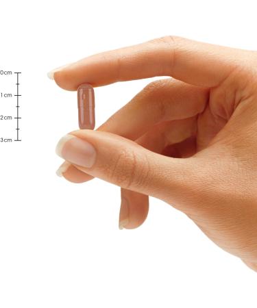 Green Tea Extract 98% Standardized with EGCG | 1000mg Green Tea Capsules for Healthy Weight Support & Metabolism Boost | Natural Caffeine Pills for Energy & Heart Health - Buy Online on GoSupps.com