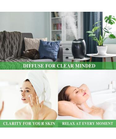 MAYJAM Vetiver Essential Oil 100ML - Premium Diffuser & DIY Oil for Home & Wardrobes | 100% Natural Aromatherapy - Buy Online on GoSupps.com