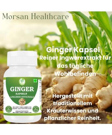  Morsan Healthcare Ginger (Zingiber officinale) Capsules | Pack of 60 x 500 mg Vegetarian Capsules | Natural Food Supplement | GMP Certified | Gluten-Free (120) - Buy Online on GoSupps.com