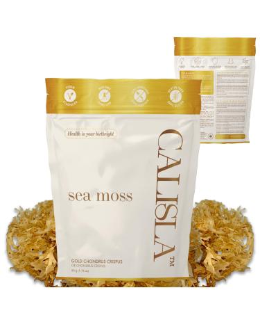 Calisla - Gold Wildcrafted Sea Moss Raw Gel - Ethically Harvested From Peru - 2 Month Supply of SeaMoss Raw Gluten-Free Non-GMO Vegan Nutrient-Rich Irish SeaMoss 50g 1.76 Oz