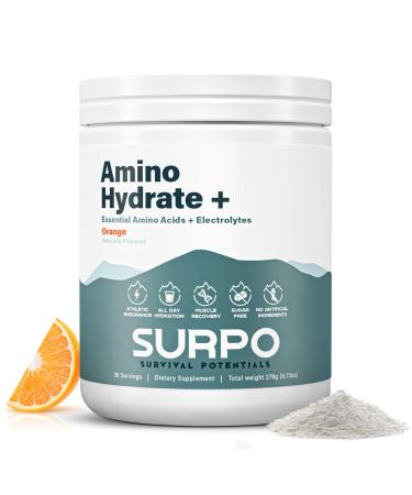 Sugar Free Electrolytes with EAA Powder - BCAA Electrolyte Powder with Essential Amino Acids - Hydrating BCAAs Amino Acids Powder for Muscle Growth - BCAA Powder for Pre & Post Workout Orange