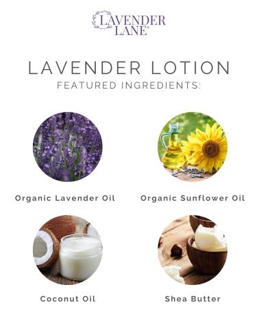 LAVENDER LANE Lavender Goat's Milk Hand & Body Lotion 9 oz - USA Lavender Farm Free Sachet Included Organic Shea Butter Organic Sunflower Oil. - Buy Online on GoSupps.com