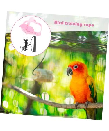 Beavorty 3 Sets Bird Leash Suspend Bird Harness Leashes -bite Training Bird Training Supplies Strap Outdoor 12X6X1.3CMx3pcs Pinkx3pcs - Buy Online on GoSupps.com