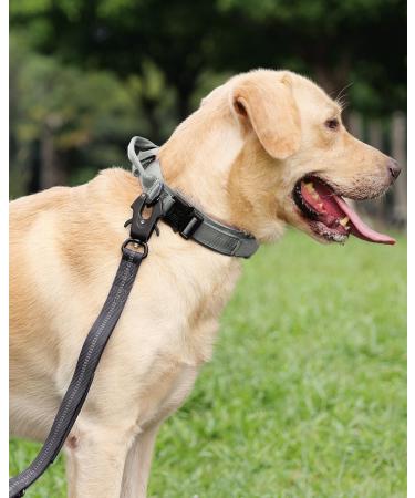 Joytale Tactical Dog Collar for Large Dogs | Adjustable Handle & QR Code Tag | XL Gray Pet Accessory - Buy Online on GoSupps.com