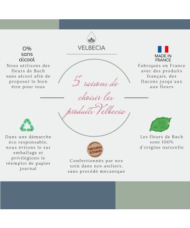 L cher prise 30 ml +1 OFFERT Elixirs de fleurs SANS ALCOOL - M thode du Dr Bach - pression travail surmenage s paration deuil relation toxique burn-out - Buy Online on GoSupps.com