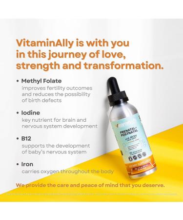 Vitaminally Prenatal + Postnatal Liposomal Liquid Drops with Iron - 30 Day Supply - 3 FL Oz - Non-GMO & Gluten Free - Supports Baby Development and Mom - Easy to Swallow - Buy Online on GoSupps.com