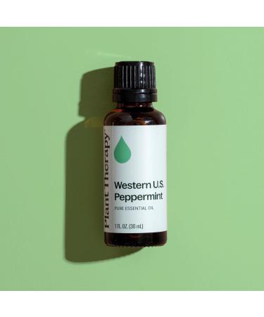 Plant Therapy Peppermint Western U.S. Essential Oil 30 mL (1 oz) 100% Pure Undiluted Therapeutic Grade - Buy Online on GoSupps.com