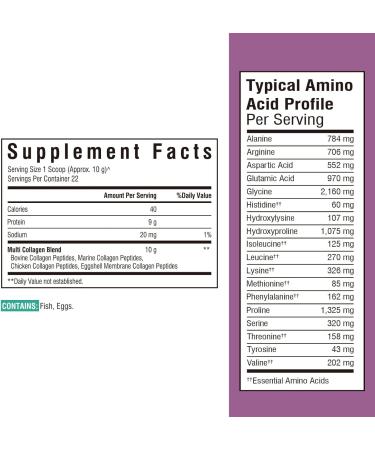 Multi Collagen Peptides Powder Type I II III V X Hydrolyzed Collagen Protein for Women and Men Skin Hair Nails Unflavored Non-GMO Keto & GF Zero Sugar 22 Servings 8oz 8 Ounce (Pack of 1) - Buy Online on GoSupps.com