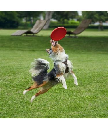 Vivifying Dog Flying Disc 2 Pack 7 Inch Natural Rubber Floating Flying Saucer for Both Land and Water (Green + Red) - Buy Online on GoSupps.com