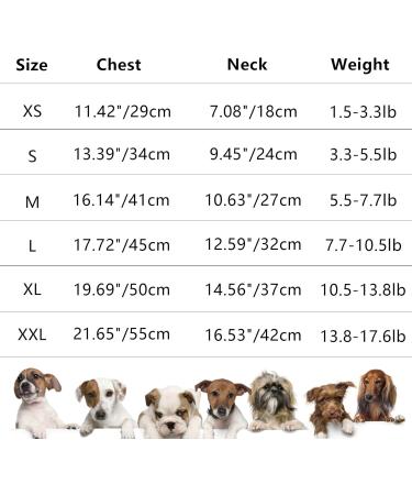 Trendy Summer Clothes for Small Dogs & Girls | Cute Puppy Dresses for Yorkies Chihuahuas & Tea Cup Breeds | Pet Princess Outfits & Birthday Costumes - Buy Online on GoSupps.com
