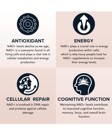 1600 mg Liposomal NAD Supplement 98% Pure NAD+ Supplement Superior Absorption Alternative to Nicotinamide Riboside or NADH to Boost NAD+ for Aging Defense Energy Longevity 120 Softgels 60 Count (Pack of 2) - Buy Online on GoSupps.com