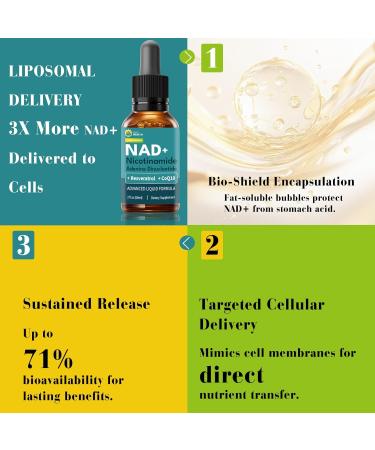 KingHealth CoQ10 100mg Liposomal NAD+ 500mg Resveratrol 150mg Liquid Supplements for Women & Men- Boost Energy & Anti-Aging - Vegan Non-GMO Gluten Sugar-Free - 2 Fl Oz - Buy Online on GoSupps.com
