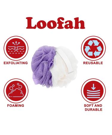 Clean & Clear Aloe Vera Body Wash & Facial Cleanser - Oil-Free Soap & Dye-Free for Sensitive Skin | Acne-Prone Care | Bonus Loofah Included - Buy Online on GoSupps.com