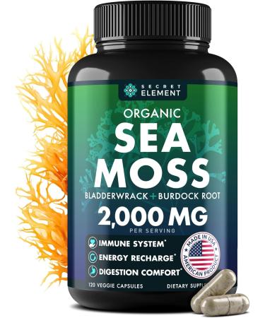 Organic Sea Moss Capsules - Burdock Root, Irish Moss and Bladderwrack Capsules - Immune System, Gut Cleanse & Thyroid Supplement - 120 Irish SeaMoss Pills with All-Natural Sea Moss Powder 120 Count (Pack of 1)