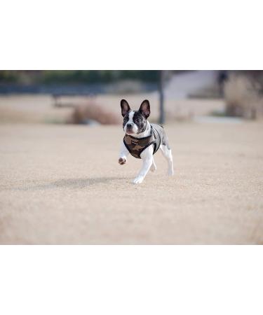 Puppia Dog Harness for Small & Medium Dogs - Soft Vest in Various Colors | Also Doubles as Puppy Dish - Atani Train Crockery XL Camo - Buy Online on GoSupps.com