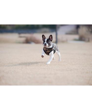 Puppia Dog Harness for Small & Medium Dogs - Soft Vest in Multiple Colors & Anti-Tip Puppy Dish - XS Camo (Paha-AH305) - Buy Online on GoSupps.com