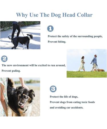 Padded Dog Head Collar for Anti-Pulling Control | Adjustable Head Harness in L Lake Blue - Buy Online on GoSupps.com