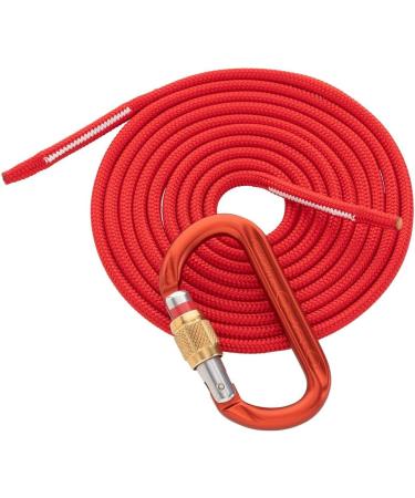 AustriAlpin Dyna.Mit Reepschnur & Karabiner - Multifunctional Multi-Color Climbing Gear | Fast International Shipping - Buy Online on GoSupps.com