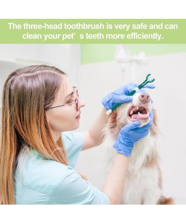Byyt 3-Piece Dog & Cat Toothbrush Set - Long Handle 360 Soft Triple-Head Oral Care for Pets - Buy Online on GoSupps.com