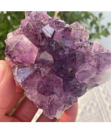 Choice of Gifts 40-120g Natural Dream Amethyst Quartz Crystal Cluster Specimen Vibration Stone Crystal Cluster (Size : 80-100g) - Buy Online on GoSupps.com