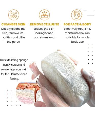 Soft Exfoliating Bath Sponge Set - Dead Skin Remover, Reusable (2pcs) - Buy Online on GoSupps.com