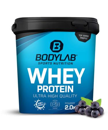 Bodylab24 Whey Protein Powder Blueberry 2kg Blueberry 2 kg (1 pack) - Buy Online on GoSupps.com