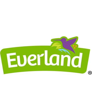 Everland Organic Chia Seeds Black 340gm - Buy Online on GoSupps.com