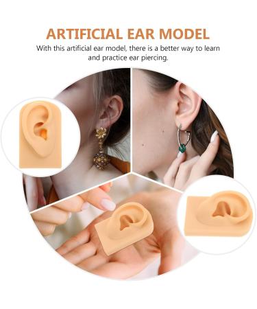 High-Quality Ear Model for Teaching and Suture Practice | Ear Piercing & Display Simulation Props - Buy Online on GoSupps.com