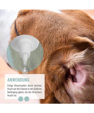 Reavet Ear Drops with Colloidal Silver for Dogs & Cats | 2 x 50ml | Effective Relief for Ear Infections Itching Germs Fungi & Bacteria | Ear Care & Hygiene - Buy Online on GoSupps.com