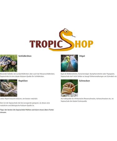 Premium Tropic Shop Sepia Shell Pack - 100% Pure Calcium Supply for Reptiles & Birds | 6-12 Pieces (100g) - Health-Promoting Minerals - Buy Online on GoSupps.com