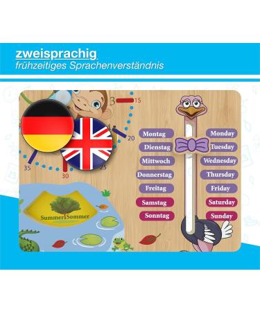 Woodywood Calendar Watch for Children - Bilingual Montessori Learning Clock in Wood - 30x30 cm - Teach Time Date & More Ideal Gift for Kids - Buy Online on GoSupps.com