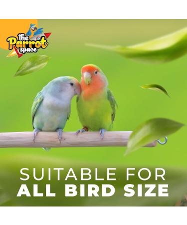 Roudybush Formula 3 Baby Bird/Parrot Hand Feeding Food 24oz (0.68KG) - Buy Online on GoSupps.com
