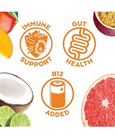 Humm Kombucha Hopical Paradise Variety Pack - 2 Billion Probiotics - Hopped Grapefruit, Coconut Lime, Pomegranate Lemonade - 12 Pack, 12 Fl Oz - Buy Online on GoSupps.com