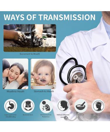 H. Pylori Helicobacter Detection Kit | Quick 10-15 Minute Home Test | Highly Accurate & Easy to Read - Buy Online on GoSupps.com