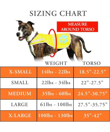 SafetyPUP XD Dog Safety Vest | Neon Yellow | Fits Dogs 14lbs to 130lbs | Medium Size - Buy Online on GoSupps.com