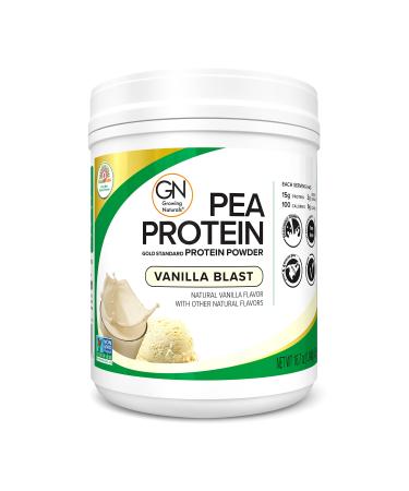 Plant Based Protein, Vanilla Gold Standard Raw Pea Protein Powder - Non-GMO, Vegan, Gluten-Free, Keto Friendly, Shelf-Stable (Vanilla Blast, 1 Pound (Pack of 1)) Vanilla Blast 1 Pound (Pack of 1)