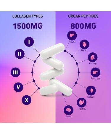 Herbtonics Multi Collagen + Organ Complex Capsules - 5-Type Collagen & Beef Organ Complex for Beauty & Vitality 90 Capsules. 90 Count (Pack of 1) - Buy Online on GoSupps.com