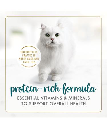 Fancy Feast Wet Cat Food Pate Turkey & Giblets Feast - 85 g Can (24 Pack) & Wet Cat Food Turkey Feast in Gravy - 85 g Can (24 Pack) Cat Food + Cat Food 24 Pack - Buy Online on GoSupps.com