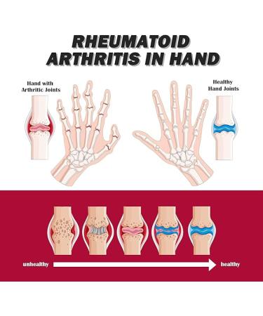 FOXZY Joint Bone Cream - Intensive Therapy for Joints and Muscles 2pc - Buy Online on GoSupps.com