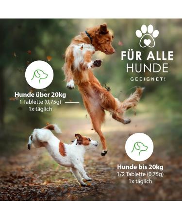 Loyaltypfote Joint Tablets for Dogs - 100 Count Made in Germany | MSM Green Lipped Mussel & Devil's Claw - 6 Month Supply - High Acceptance - Buy Online on GoSupps.com