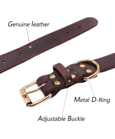 Tagme Personalized Leather Dog Collar for Medium & Large Dogs - Custom Engraved Name & Phone Number - Brown (L) - Durable & Stylish - Buy Online on GoSupps.com