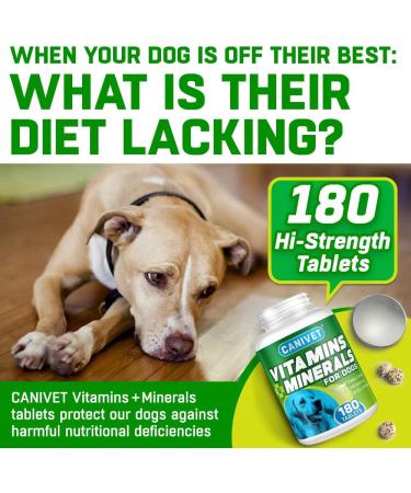 CANIVET Multivitamins for Dogs | 180 Chicken Flavour Tablets | Essential Dog Vitamins & Minerals | Full Spectrum Health Supplement | Up to 1 Year Supply - Buy Online on GoSupps.com